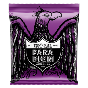 Ernie Ball 2020 Paradigm Power Slinky