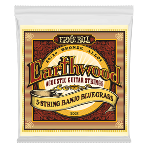 Ernie Ball 2063 Banjo 5 String Bluegrass