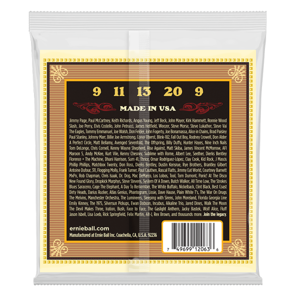 Ernie Ball 2063 Banjo 5 String Bluegrass - Image 2