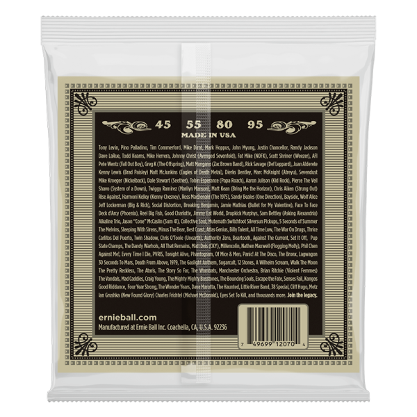 Ernie Ball 2070 Acoustic Bass - Image 2