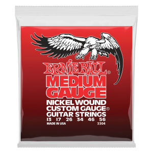 Ernie Ball 2204 Nickel Wound Medium