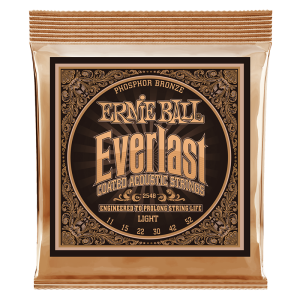 Ernie Ball 2548 Everlast Coated Phosphor Bronze Light