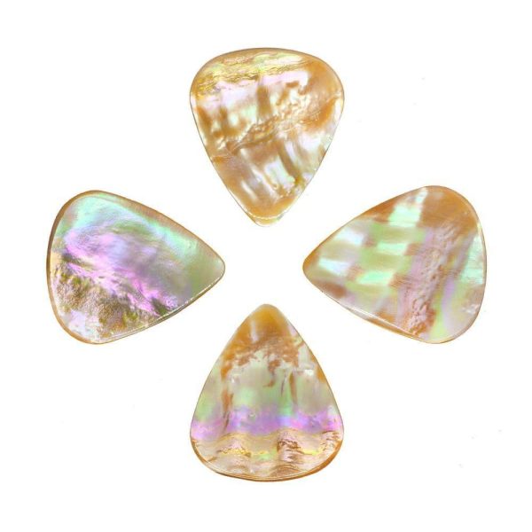 Abalone Tones Awabi Abalone - Image 2