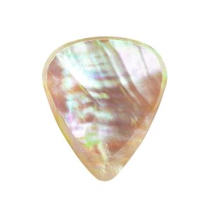 Abalone Tones Greenlip Abalone