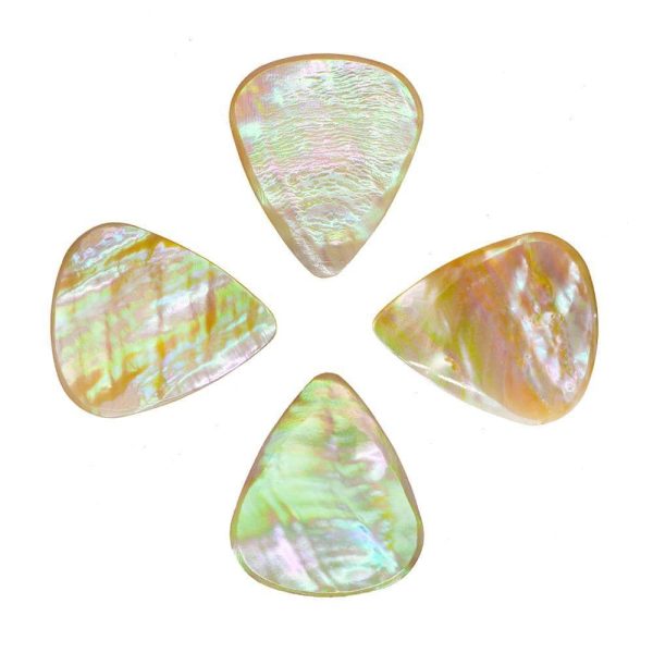 Abalone Tones Greenlip Abalone - Image 2