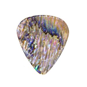 Abalone Tones Paua Abalone