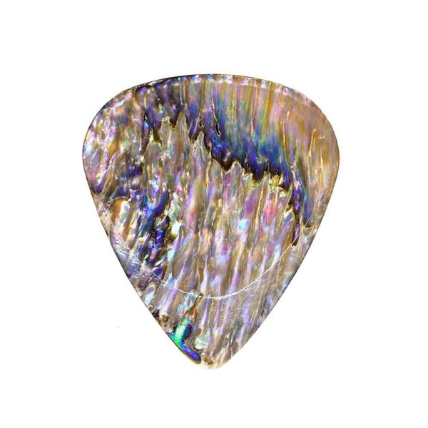 Abalone Tones Paua Abalone