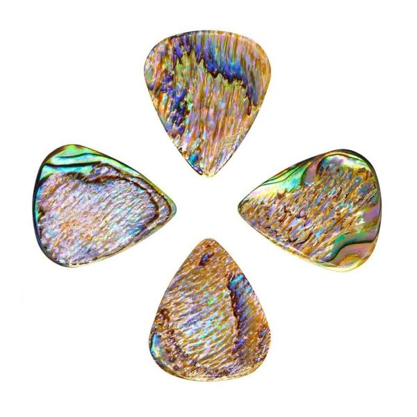 Abalone Tones Paua Abalone - Image 2