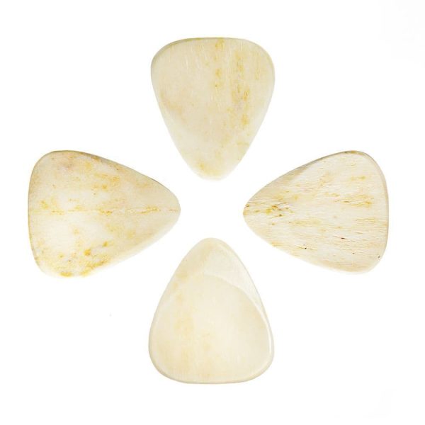 Bone Tones Buffalo Horn Bone - Image 2