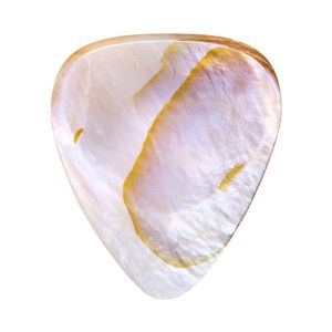 Shell Tones Mussell Shell