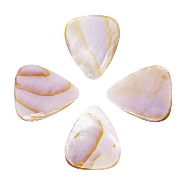 Shell Tones Mussell Shell - Image 2