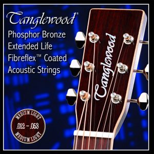 Tanglewood 12 Gauge Phosphor Bronze Coated Acoustic Strings